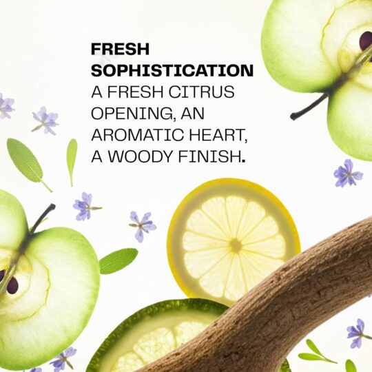 Verte - Spicy Woody Eau De Parfum - Image 3
